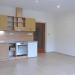 Rent 1 bedroom apartment of 36 m² in Brno