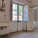 Rent 2 bedroom apartment of 31 m² in Turin