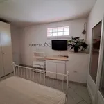 Rent 3 bedroom apartment of 70 m² in Forlì-Cesena