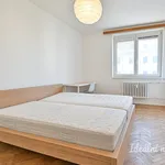 Rent 2 bedroom apartment in Brno