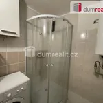 Rent 1 bedroom apartment of 27 m² in Velké Bílovice