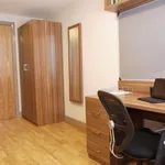 Rent 1 bedroom apartment in Brighton