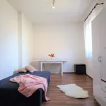 Rent 1 bedroom apartment of 1 m² in Brno