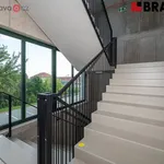 Rent 2 bedroom apartment in Brno