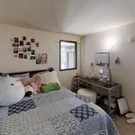 Rent 1 bedroom apartment in Minneapolis