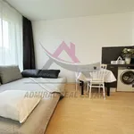 Rent 1 bedroom apartment of 40 m² in Varna