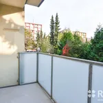 Rent 1 bedroom apartment in Brno