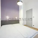 Rent 1 bedroom apartment of 45 m² in Brno