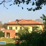 Rent 2 bedroom apartment of 50 m² in Turin