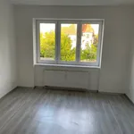 Rent 3 bedroom apartment in Chomutov