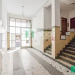 Rent 1 bedroom apartment of 22 m² in Milano