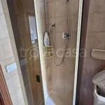 Rent 4 bedroom apartment of 100 m² in Bologna