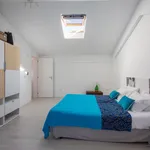 Rent 1 bedroom apartment in Lisbon