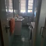 Rent 2 bedroom apartment of 70 m² in bologna