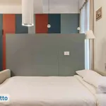 Rent 2 bedroom apartment of 50 m² in Milan