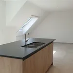 Huur 3 slaapkamer appartement in Hamme (9220)