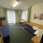 Rent 1 bedroom apartment of 20 m² in Brno