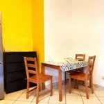 Rent 2 bedroom apartment of 55 m² in Rome