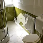 Rent 3 bedroom apartment of 50 m² in Debrecen