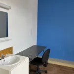 Rent 1 bedroom apartment in Gent