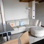 Rent 2 bedroom apartment of 50 m² in Pavia