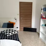 Rent a room in turin