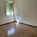 Rent 3 bedroom apartment of 77 m² in Bologna