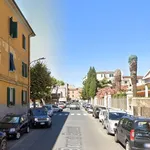 Affitto 2 camera appartamento di 50 m² in Piombino