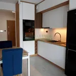 Rent 2 bedroom apartment of 42 m² in Nowy Sącz