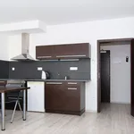 Rent 2 bedroom apartment of 100 m² in Brno