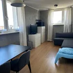 Rent 2 bedroom apartment of 43 m² in Poznan