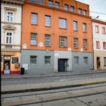 Rent 1 bedroom apartment of 45 m² in Brno