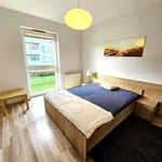 Rent 2 bedroom apartment of 50 m² in Katowice