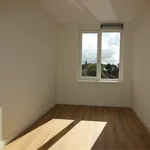 Rent 5 bedroom house of 130 m² in Sint Vitusbuurt