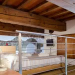 Rent 1 bedroom apartment of 38 m² in Firenze