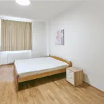 Pronajměte si 2 ložnic/e byt o rozloze 58 m² v Prague