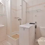 Rent 1 bedroom apartment of 34 m² in Brno