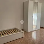 Rent 3 bedroom apartment of 80 m² in Ferrara