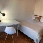 Rent a room of 80 m² in lisbon