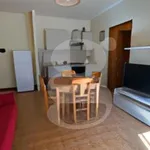 Rent 1 bedroom apartment of 50 m² in nettuno