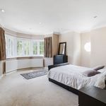 Rent 6 bedroom flat in London