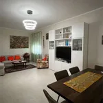 Rent 4 bedroom apartment of 130 m² in Livorno