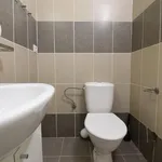 Rent 1 bedroom apartment in Brno