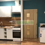 Rent 1 bedroom apartment in České Budějovice