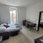 Rent 1 bedroom apartment of 44 m² in Brno