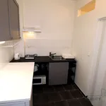 Rent 1 bedroom apartment of 30 m² in Brno