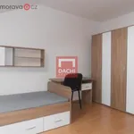 Pronajměte si 6 ložnic/e byt o rozloze 100 m² v Olomouc