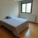 Alquilar 5 dormitorio apartamento en Zaragoza