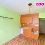 Rent 1 bedroom apartment of 21 m² in Kadaň