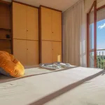 Rent 1 bedroom apartment in Milan